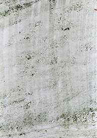 墨竹ET-818