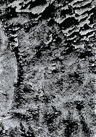 炫黑ET-901